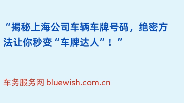 “揭秘上海公司车辆车牌号码，绝密方法让你秒变“车牌达人”！”