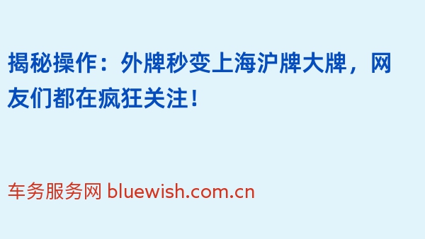 揭秘操作：外牌秒变上海沪牌大牌，网友们都在疯狂关注！